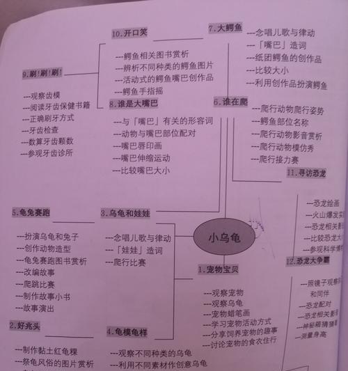 详细介绍阿根廷象龟的饲养方法（了解如何养育健康的阿根廷象龟）