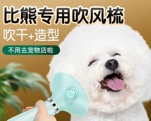 如何正确给宠物狗梳毛（学习正确的狗毛梳理技巧，让你的爱犬更加健康美丽）