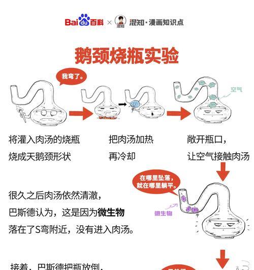 威尔士梗饲养指南（从生活环境到饮食保健，教你打造完美威尔士梗生活）