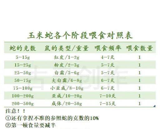 伯瑞犬饲养全指南（从喂养到训练，如何照顾你的伯瑞犬）