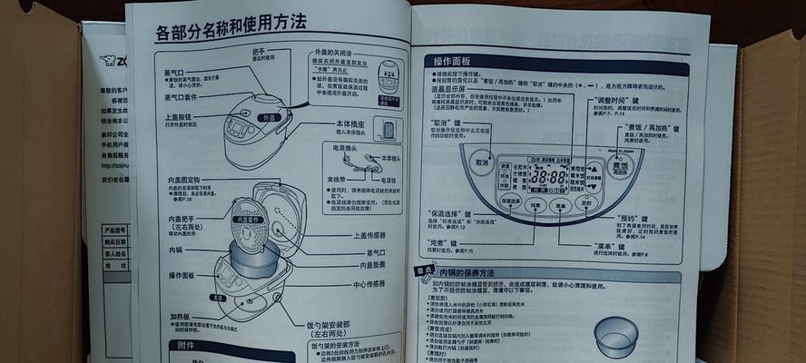 详解阿根廷象龟的饲养方法（从饲料到习性，了解关于阿根廷象龟的一切）