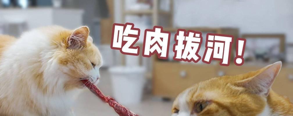 为你的猫咪喂生肉（猫咪的天然饮食习惯、生肉喂养的好处和注意事项。）