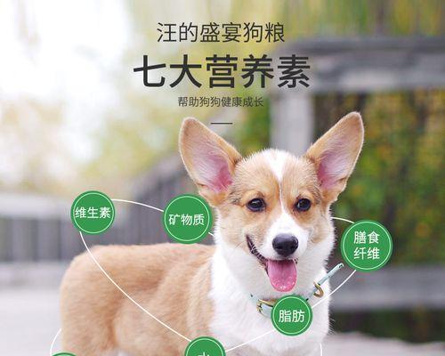 如何为法斗狗犬定制2个月的狗粮饮食计划（权威建议让您的宠物健康成长）