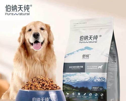 金毛犬的消化特征与饮食调理（了解金毛犬的消化系统，从而保证健康饮食）