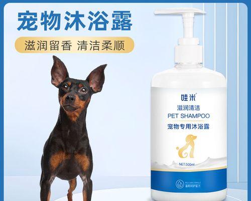 让你的宠物迷你杜宾犬健康、干净、整洁（让你的宠物迷你杜宾犬健康、干净、整洁）