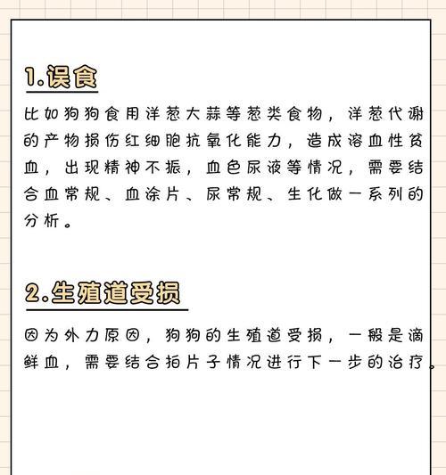 狗狗尿血的原因及处理方法（宠物主人必读，了解狗狗尿血的原因及应对措施）