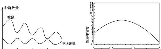 大林姬鼠的饲养方法（如何让你的大林姬鼠健康成长）