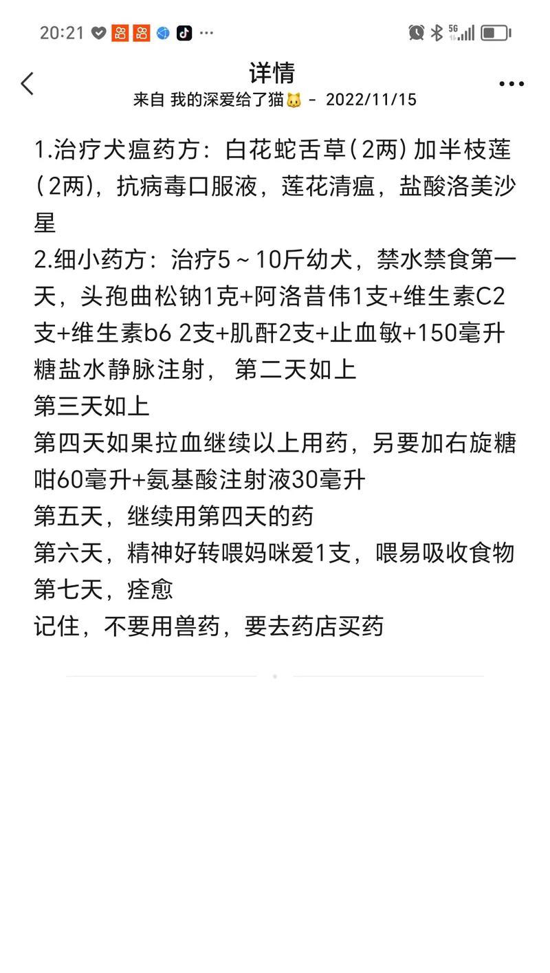 犬瘟症状及治疗方法（详解犬瘟症状、预防及治疗的最佳方法）