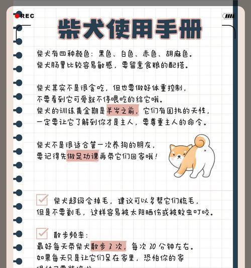 带回家的小柴犬合适年龄及注意事项（选择小柴犬的年龄与准备工作）