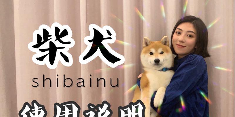 科学养柴犬的方法（柴犬喂养指南）