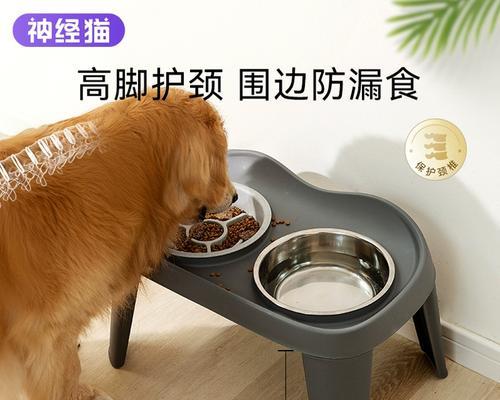 边境牧羊犬毛发靓丽的秘诀（以养边境牧羊犬，喂食这几种食材，使毛发比别人家的要靓丽）