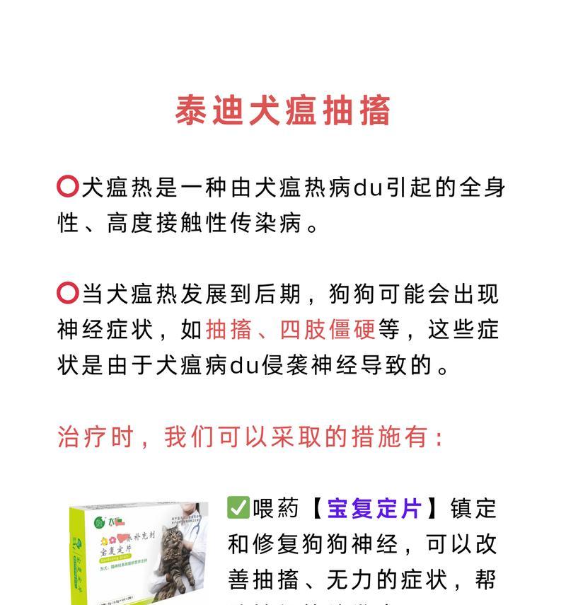 犬瘟的传播途径及防控措施（了解犬瘟的主要传播方式以及如何预防疾病）