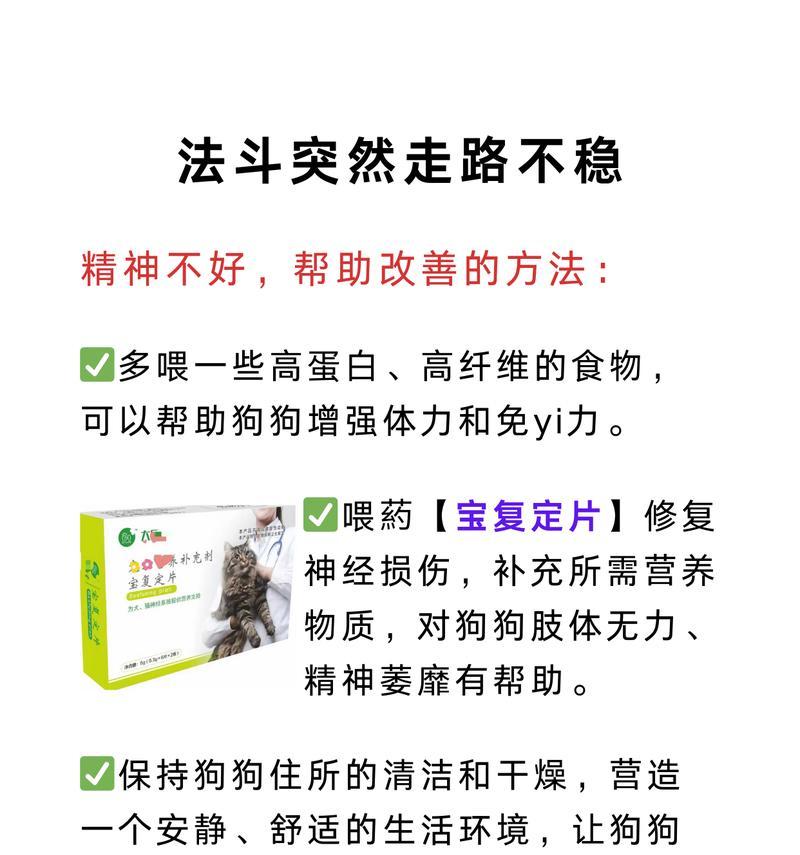 探秘法斗（探究法斗与地包天的渊源，解读为何地包天成为法斗的代表）