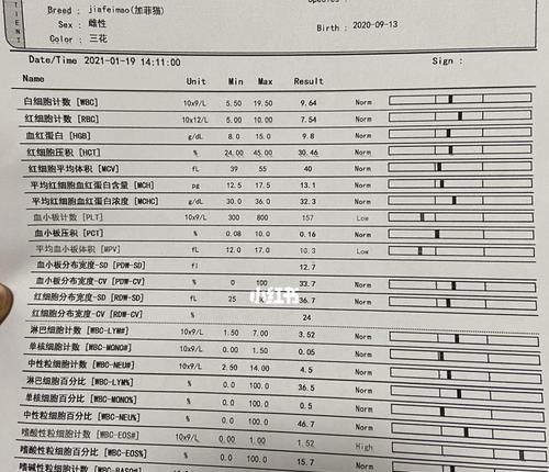 猫的白细胞为0.7，这意味着什么？（了解猫的白细胞计数及其健康影响）