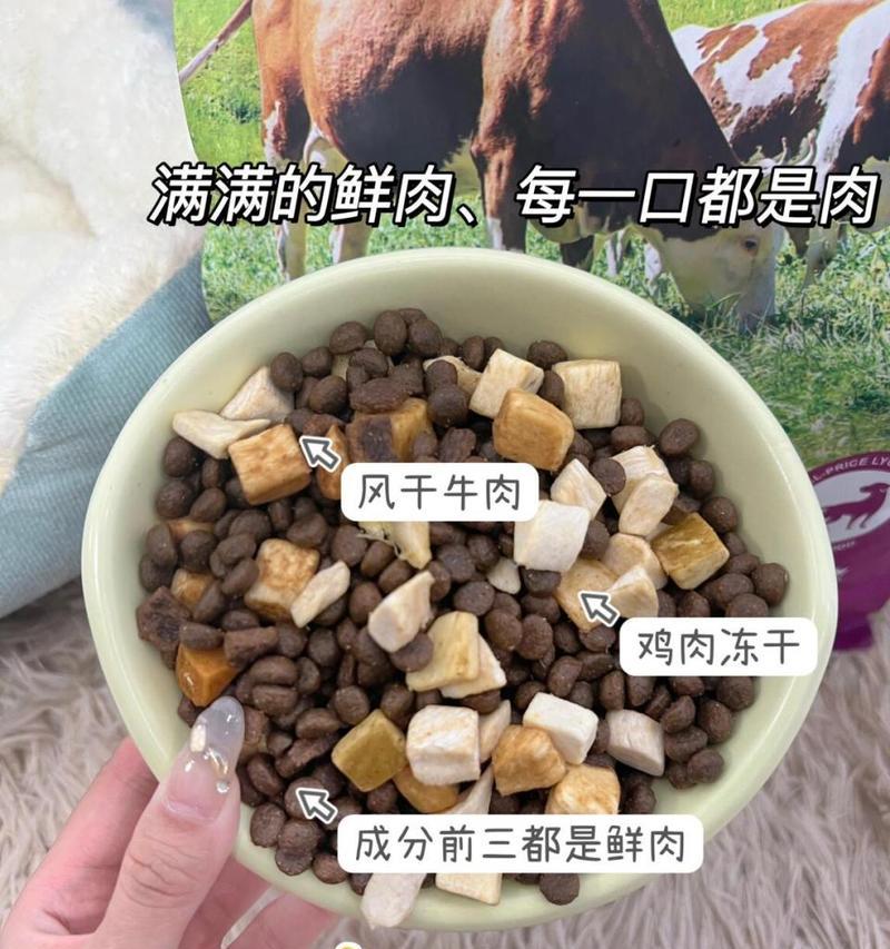 狗狗为什么吃不长肉？（解析狗狗食欲不振的原因及对策）