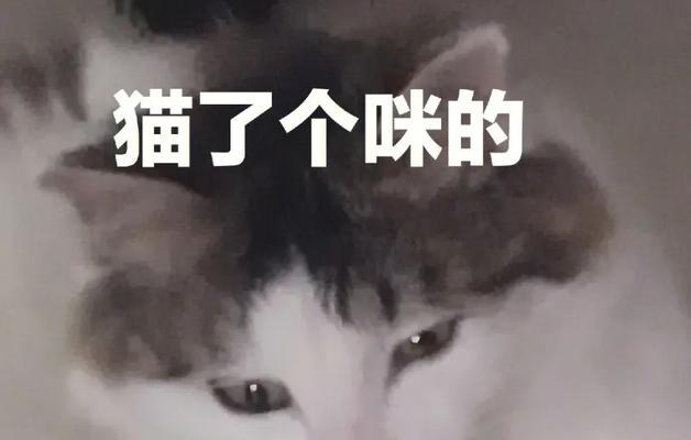 揭秘猫为什么放屁好臭（猫咪体内微生物与饮食习惯决定臭气的源头）