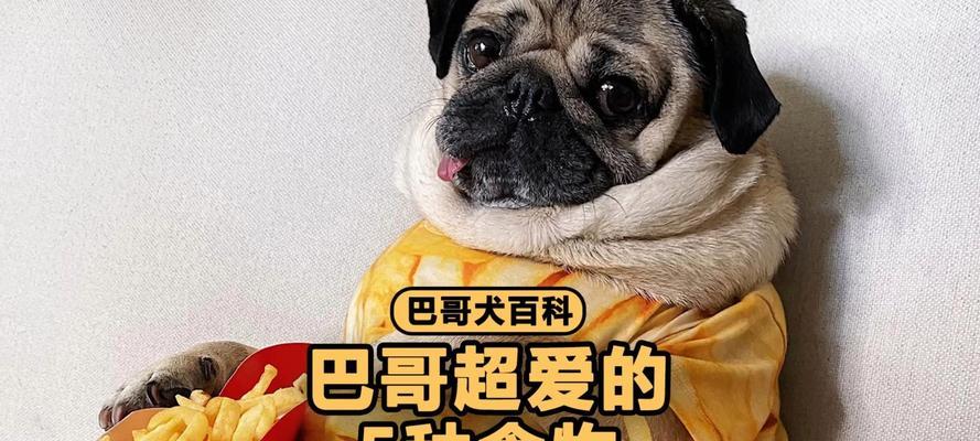 探讨狗狗止泻的有效饮食方法（为你的宠物提供适当的食物以帮助止泻）