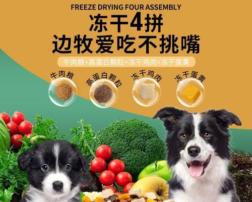 边牧幼犬粮的选择指南（为你的边牧宝宝提供健康饮食）