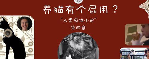 揭秘猫咪为何喜欢在人头顶放屁（猫咪行为奇谈——为什么它们会这样？）