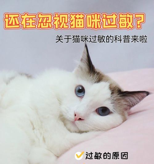 如何缓解猫过敏的症状（探索有效药物治疗与自然疗法）