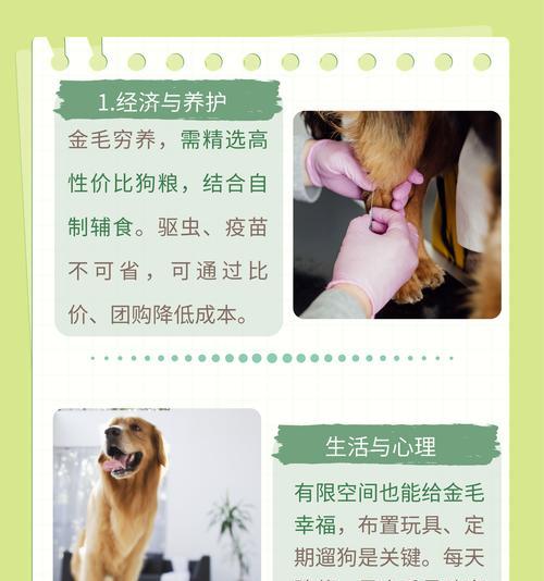 金毛犬（揭秘金毛犬的聪明才智和多重本领）