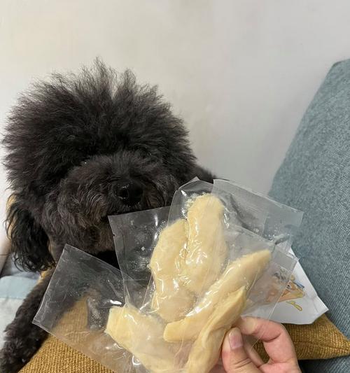 大型犬的饮食与成长（科学饮食关键促进大型犬成长）