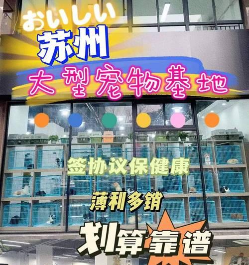 宠物店——给你的爱宠一个温馨的家（畅快的宠物购物体验，尽在你的指尖）