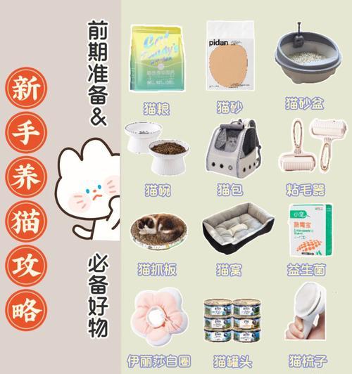 养猫必备的药物知识（全面了解养猫所需药物，让宠物健康无忧）