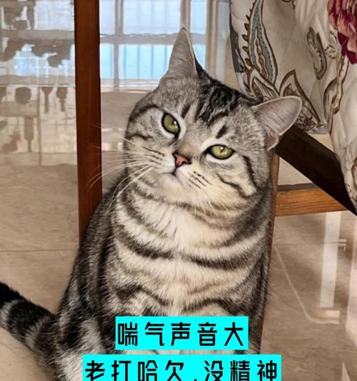 呼气声音大的原因及解决方法（探究呼气时声音异常放大的原因，以及针对性的解决方法）