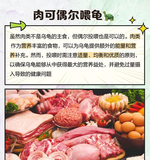 乌龟吃多了引发的症状与处理方法（乌龟食量过大对健康的影响及应对措施）