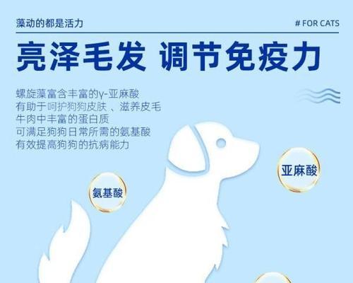 柯基成年狗粮推荐指南（优质狗粮选择帮你为柯基提供健康成长）