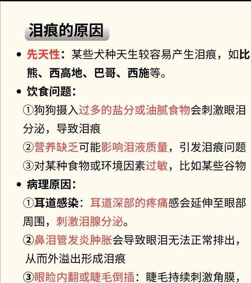 犬泪痕（揭开犬泪痕的神秘面纱，让你的宠物焕发无限光彩）