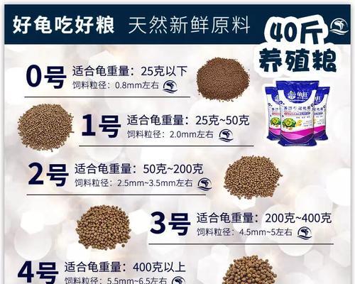 以黄头侧颈龟为主题的水草饲养要点（黄头侧颈龟的饲养需注意水草选择）