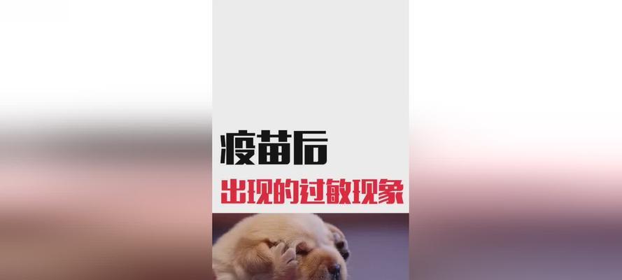 人对狗过敏的反应及处理方法（探讨狗过敏引起的症状、预防和治疗方法）