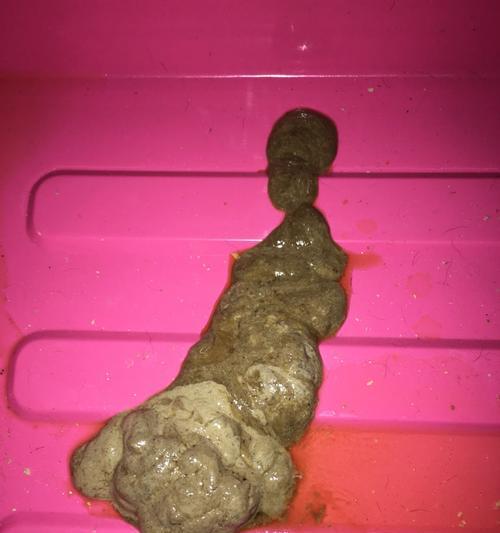 找到合适狗粮，让您的宠物便便不再臭气熏天（探寻狗粮中的臭便原因和如何选择能让宠物便便不臭的狗粮）