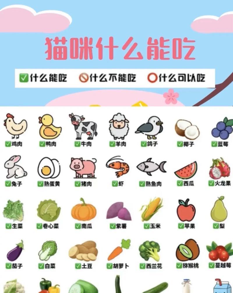 初生猫咪的饮食需求（了解猫咪的饮食需求，给它们最佳的食物）