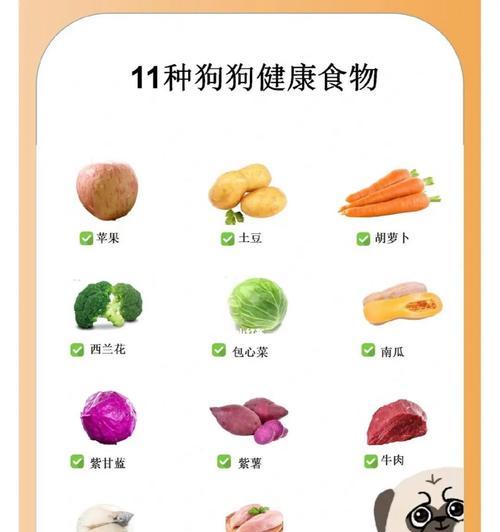 小狗宝宝食物注意事项（了解小狗宝宝的饮食需求与禁忌）