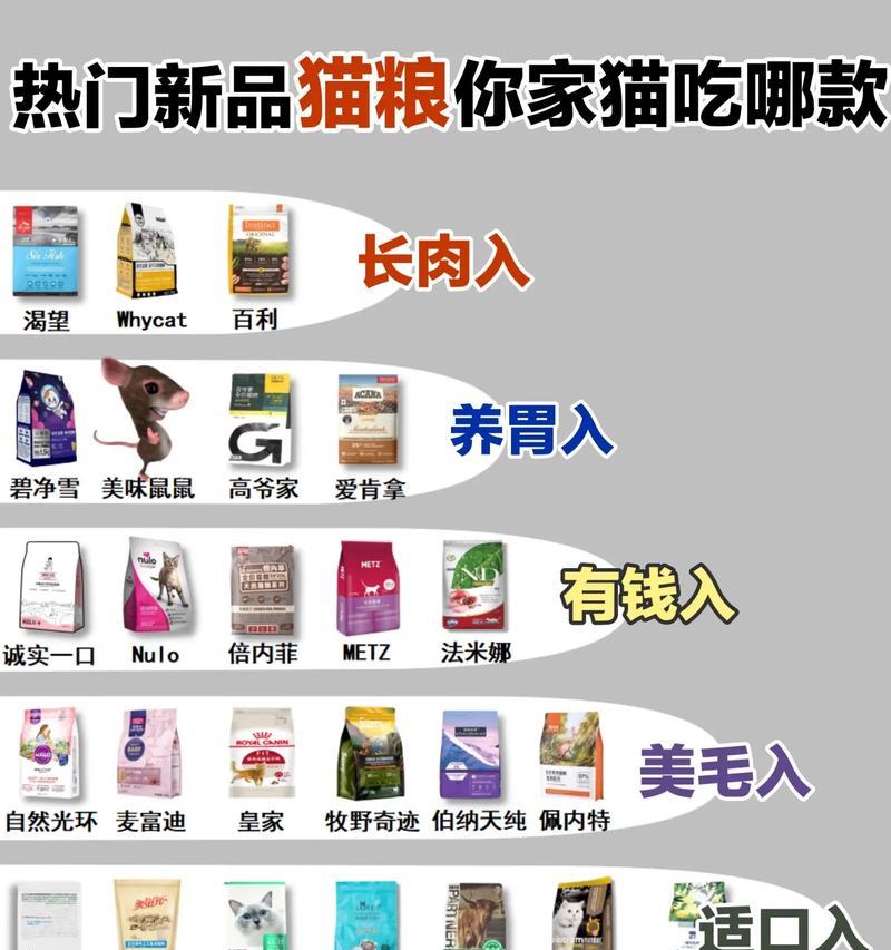营养均衡的饮食，让宠物猫咪健康成长（以2周猫咪吃什么为主题，帮助主人了解猫咪合理饮食的重要性）