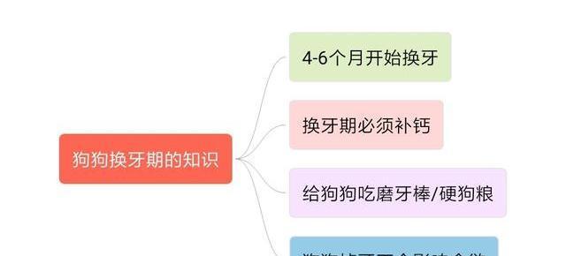 为什么狗狗会掉牙？（狗狗掉牙的原因和过程详解）