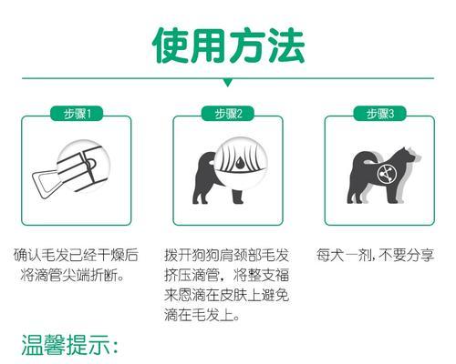 狗狗吃虫药的注意事项（保护宠物健康，正确使用虫药）