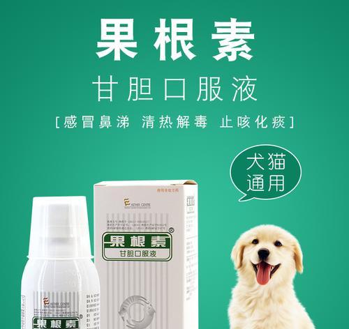 狗狗哑咳嗽的治疗与药物选择（如何帮助狗狗摆脱哑咳嗽的困扰，选择适合的药物进行治疗）