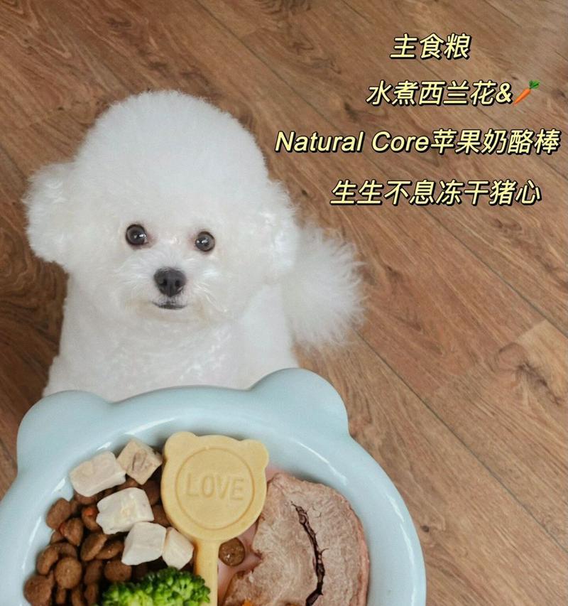 2个月大的比熊可以吃什么？（了解适合2个月大比熊的饮食需求）