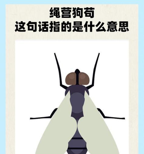 狗的前面意味着什么？（揭秘狗在社会中的地位与责任）