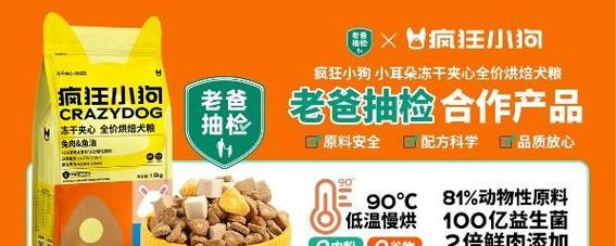 小狗毛干燥，如何改善？（探索适合小狗的食物和护理方法）
