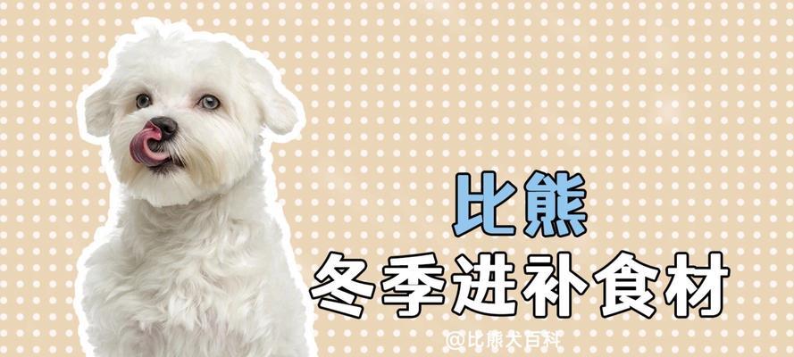 比熊的饮食要点（探索比熊可食用的食物种类及其营养需求）