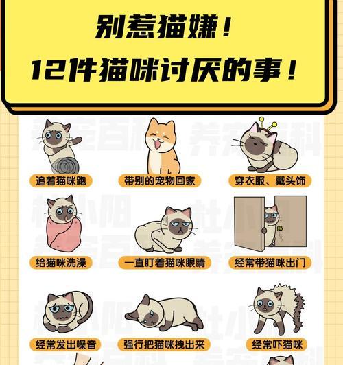 为什么会想咬人？如何处理这种冲动？（探寻咬人冲动的原因与处理方法）