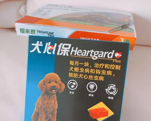 比熊体内寄生虫的症状及治疗方法（了解比熊寄生虫感染的常见症状，预防及治疗方法）