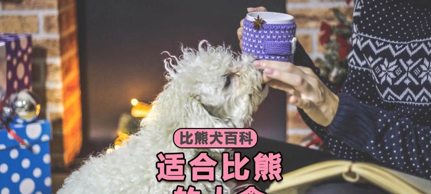 以比熊四十天能吃什么水果（一只可爱的比熊和它的水果饮食挑战）