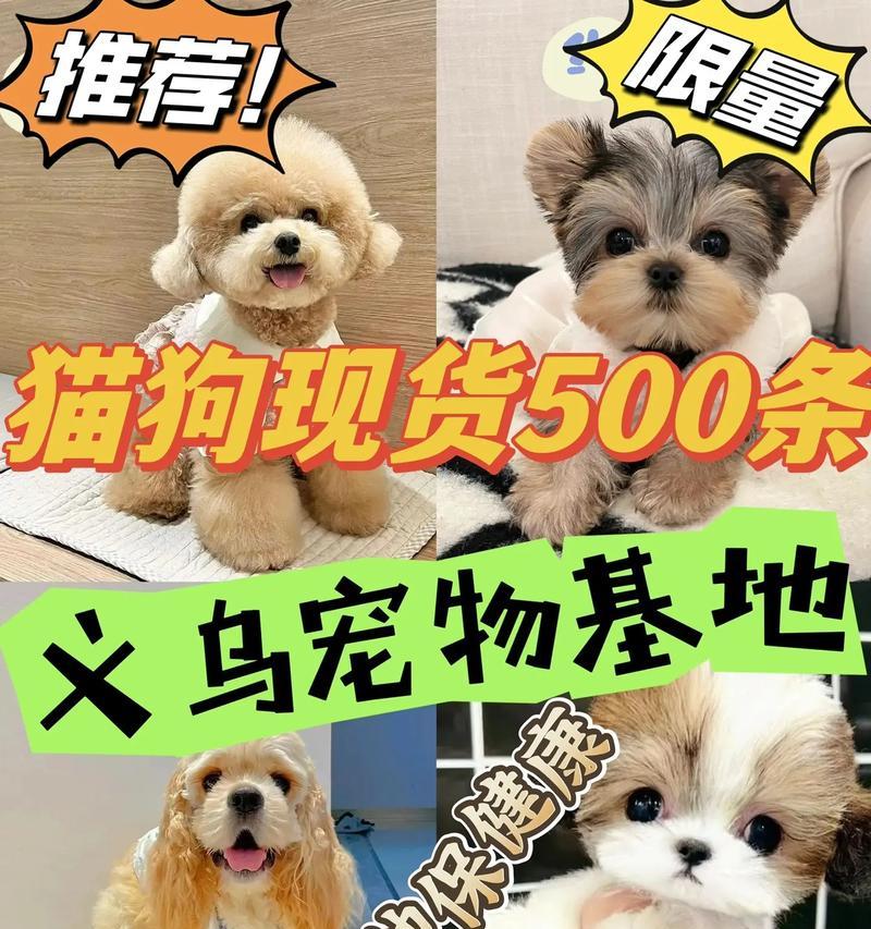正规犬舍（让您的爱犬在正规犬舍中享受真正的幸福生活）