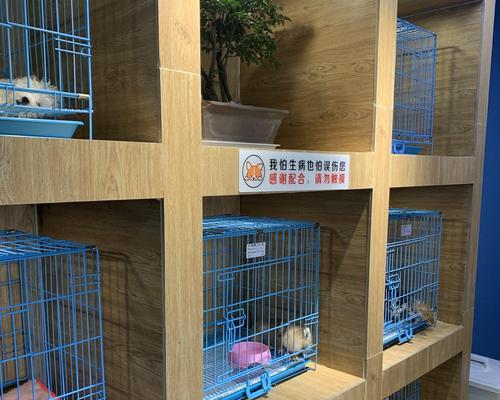 买狗指南（确保你选择了适合自己的宠物伙伴）